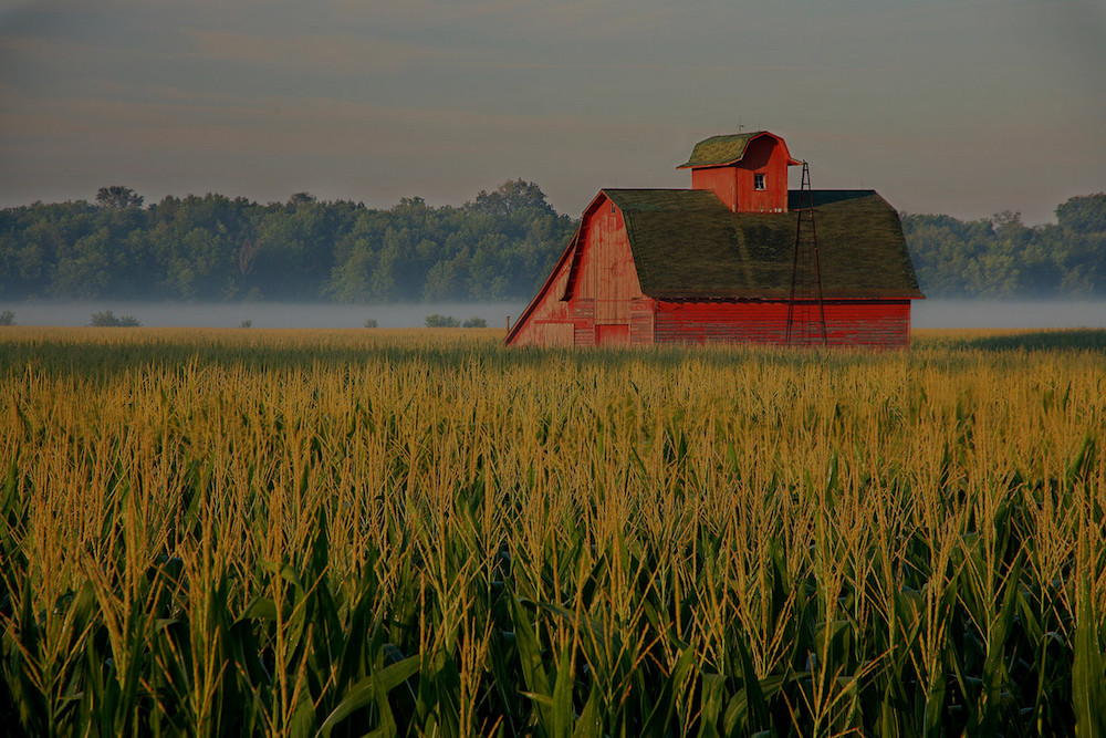 farm and crop insurance in Columbia MO | Mid-America Specialty Markets